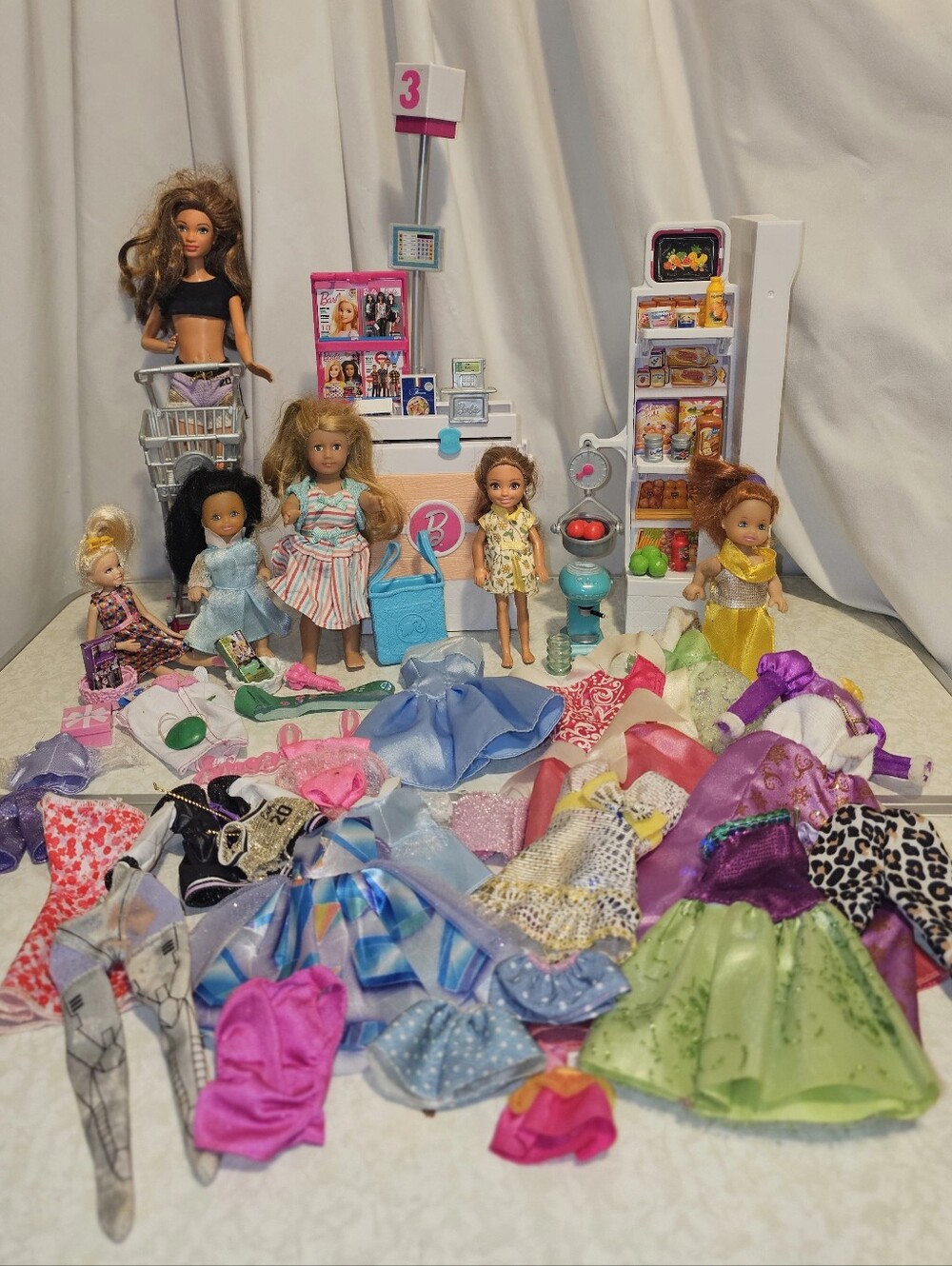 Barbie & Friends Fashion Dolls with Barbie grocery items. Dresses And More